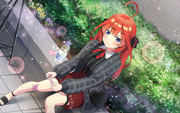 Itsuki Nakano Anime The Quintessential Quintuplets HD Desktop Wallpaper | Background Image