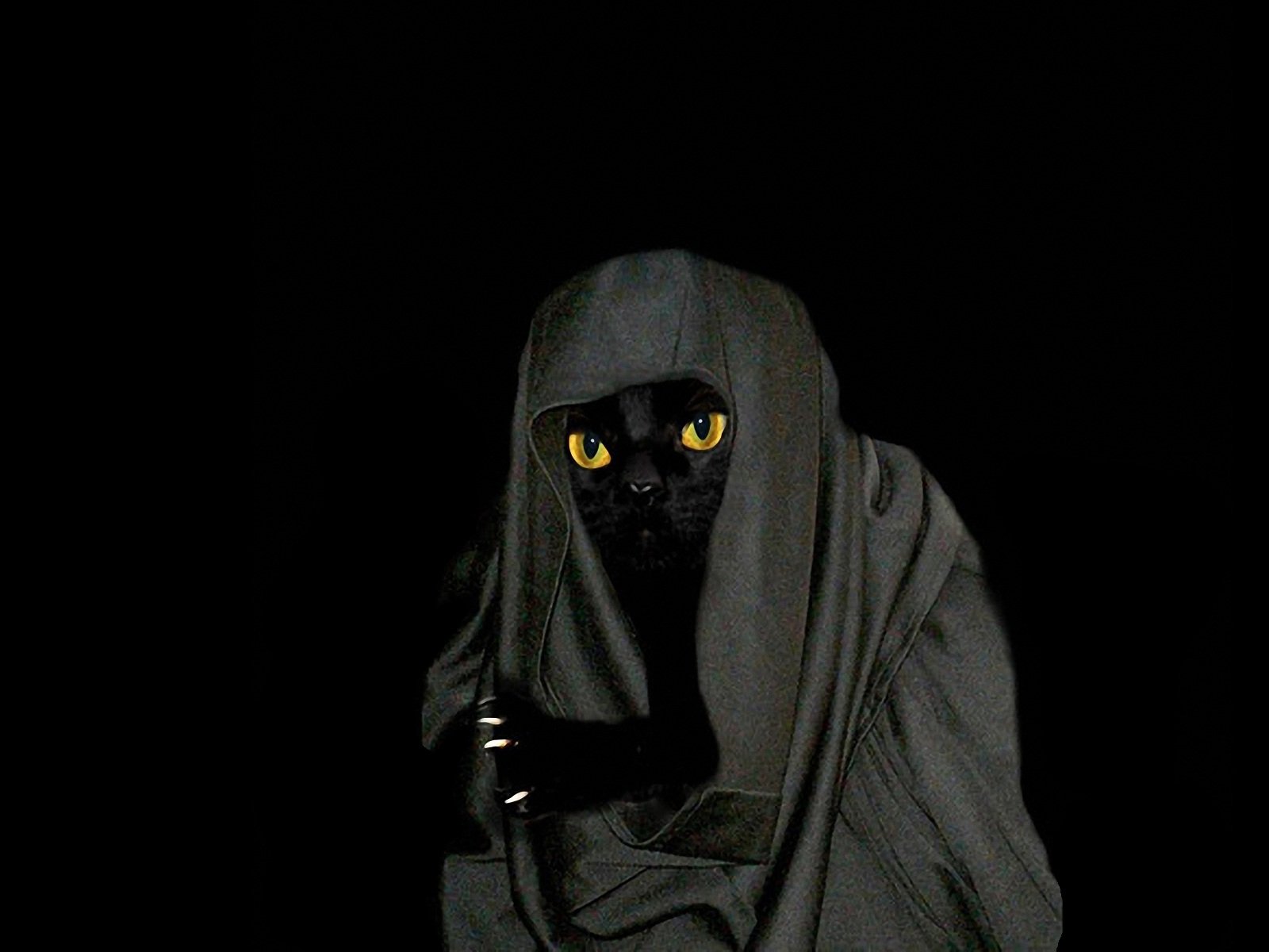 A black fantasy cat with glowing yellow eyes draped in dark fabric, set against a black background, designed as an HD PC desktop wallpaper and background.