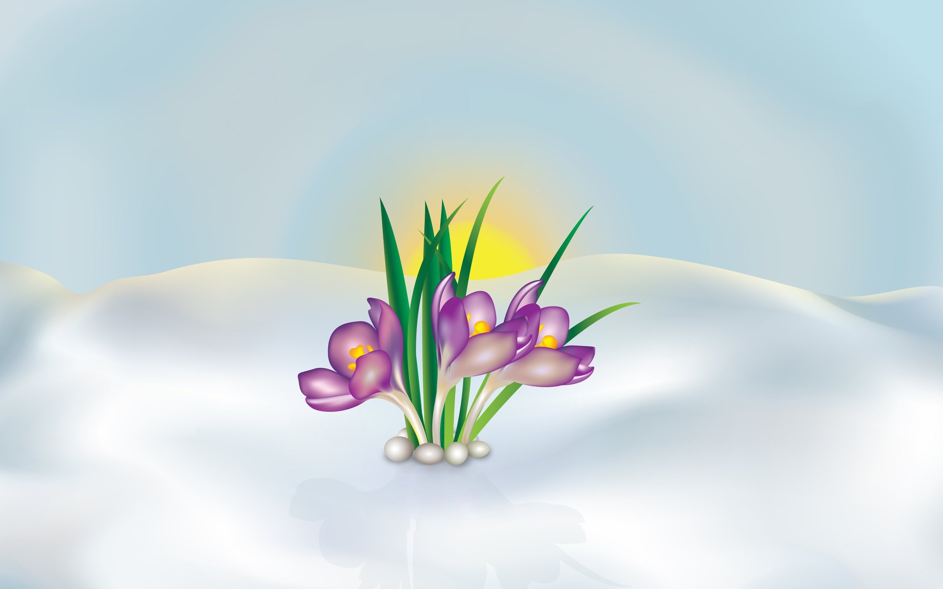 Artistic HD PC desktop wallpaper and background: purple crocus flowers emerging from snow with green shoots and a soft sunrise glow.