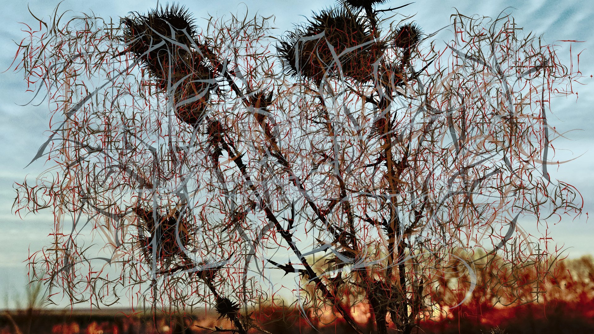 October Tractate by overcast carvers