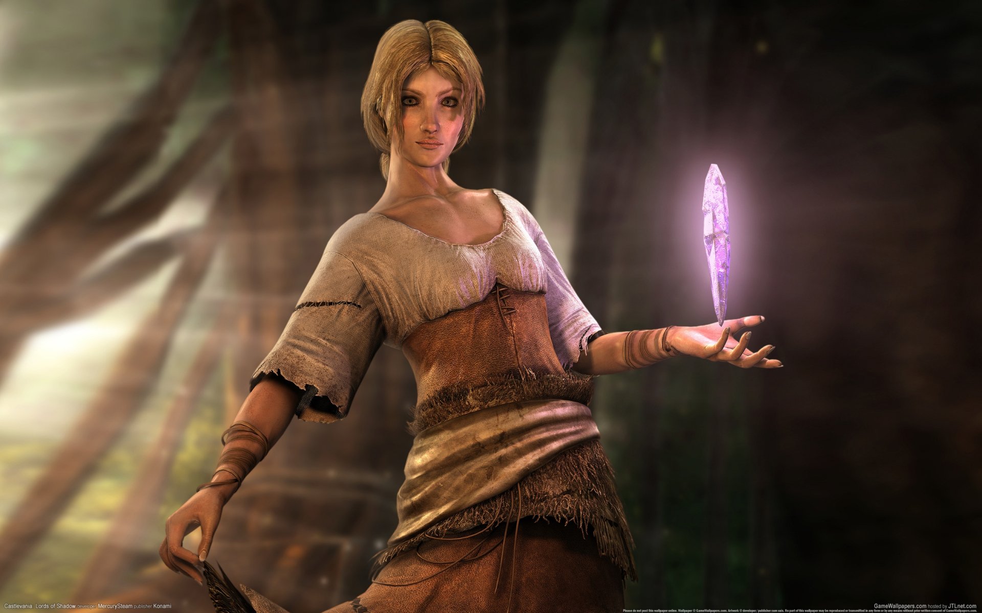 Download Video Game Castlevania HD Wallpaper