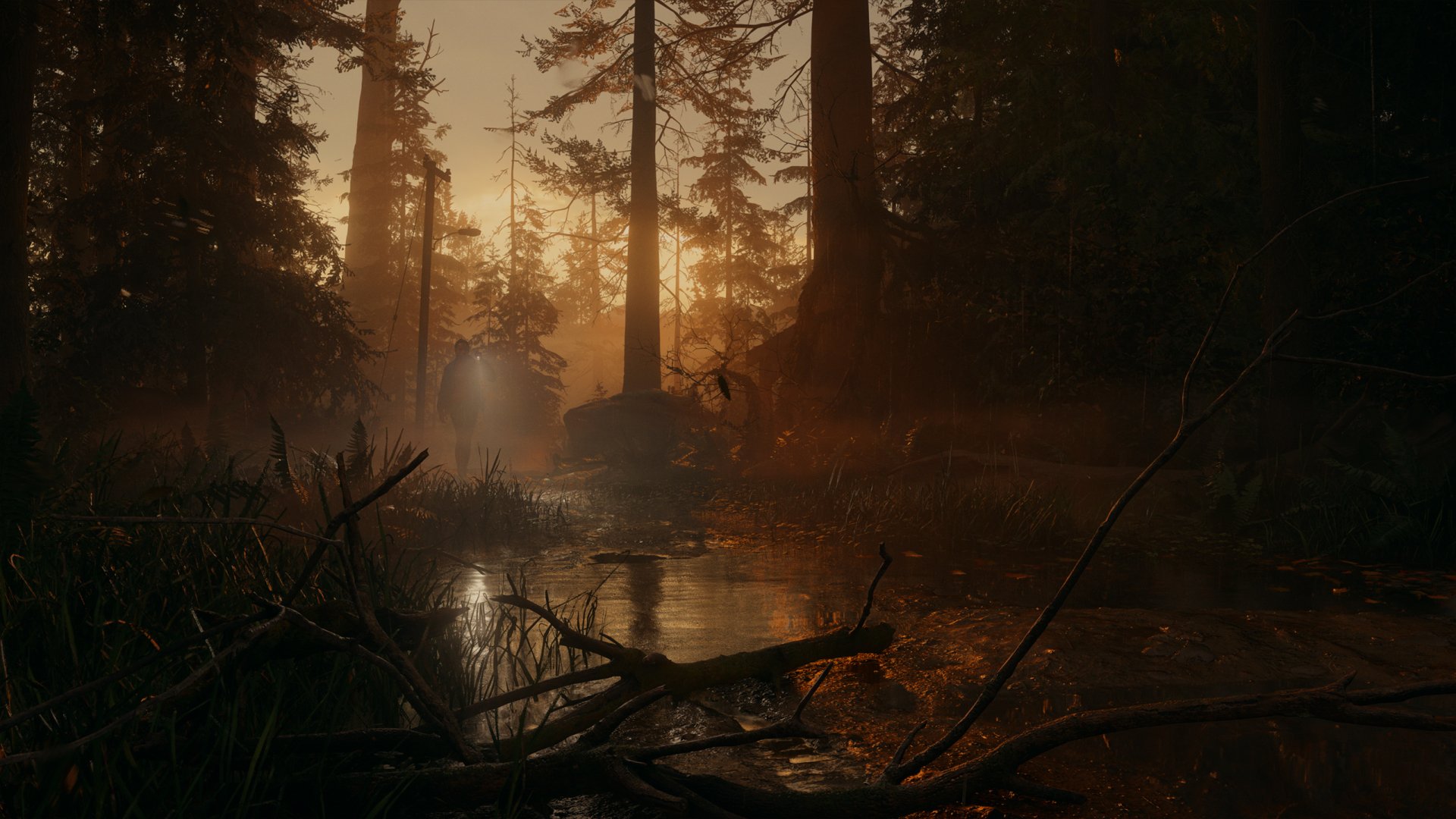 Alan Wake 2 Mystical Forest HD Wallpaper