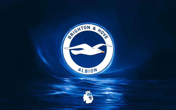 Brighton & Hove Albion F.c. 4k Wallpapers