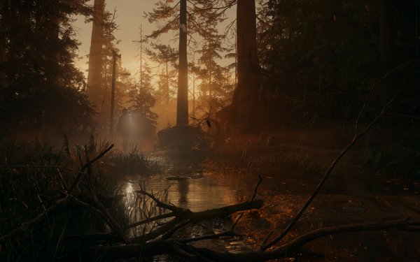 HD Alan Wake 2 desktop wallpaper featuring a mysterious sunset in a dense forest with a car's silhouette amidst the trees.
