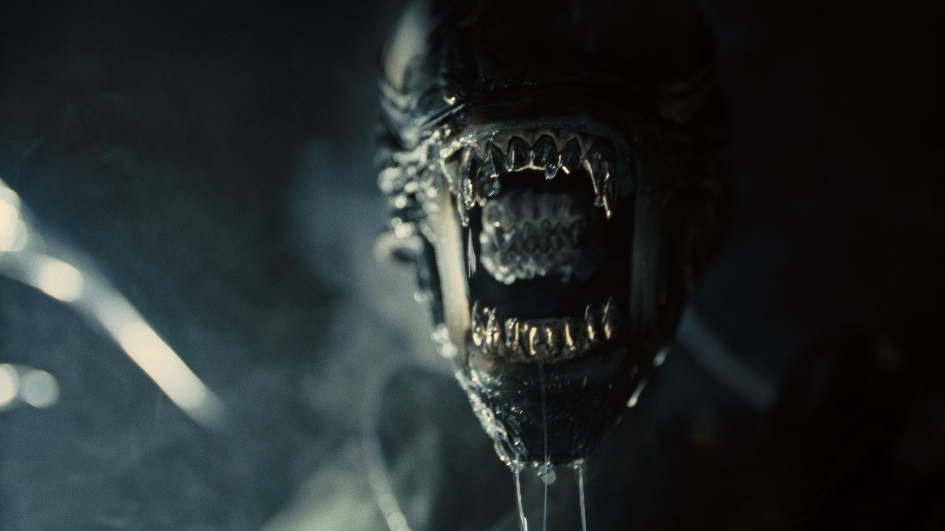 Alien creature from Alien: Romulus movie as a HD desktop wallpaper, showcasing the iconic extraterrestrial in a dark, atmospheric setting.