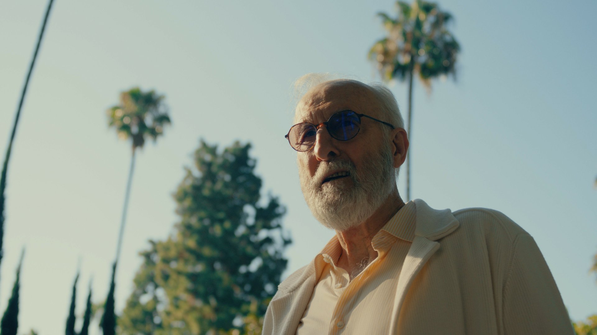 HD wallpaper featuring a scene from the TV show Sugar (2024) with a distinguished older man in the foreground and palm trees under a sunny sky in the background.