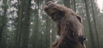 A high-definition image of Chewbacca in a forest setting, featured in the upcoming TV show The Acolyte (2024), creating an immersive background for fans.