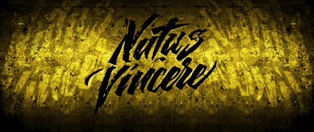 HD desktop wallpaper featuring the Natus Vincere logo with a textured golden background, symbolizing the esports team's presence in competitive Counter Strike.