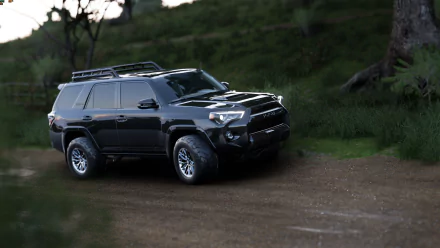  2019 TOYOTA 4RUNNER TRD PRO