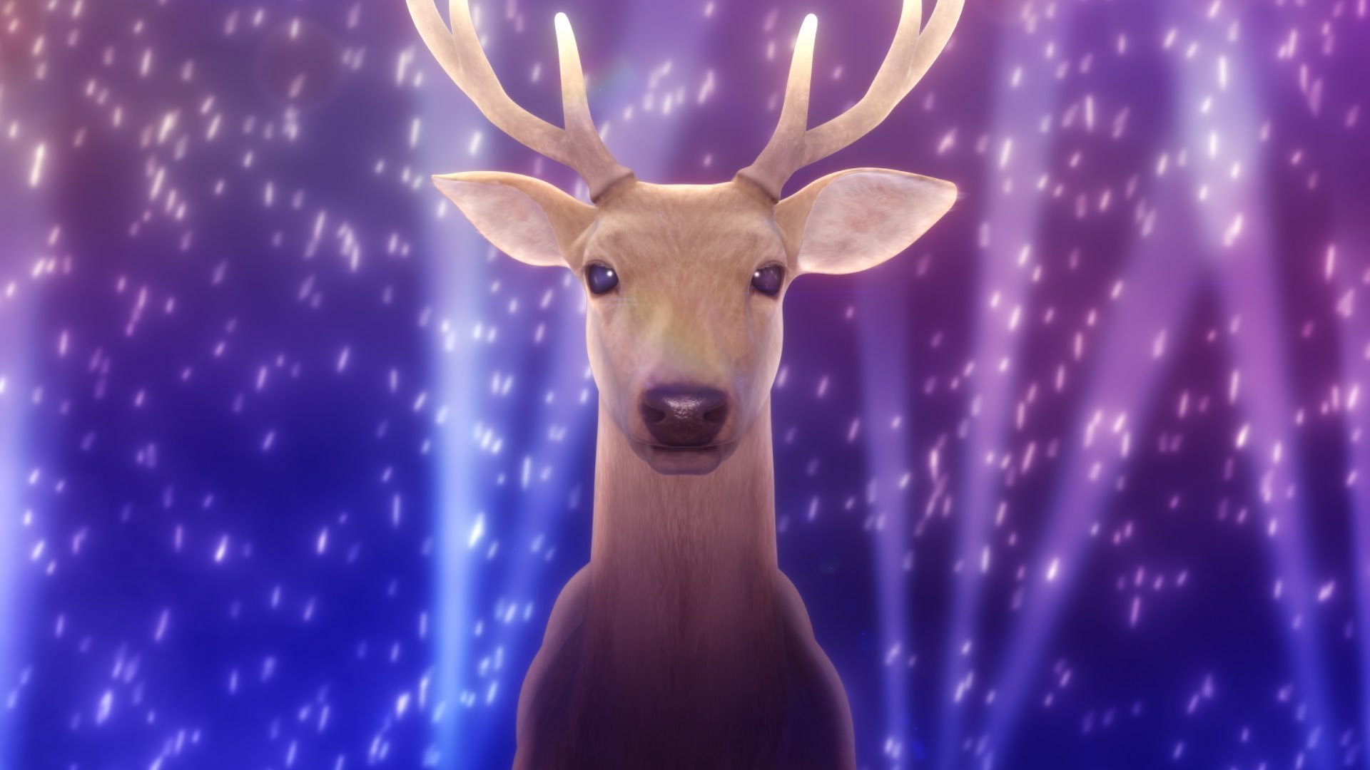 My Deer Friend Nokotan Hd Wallpaper