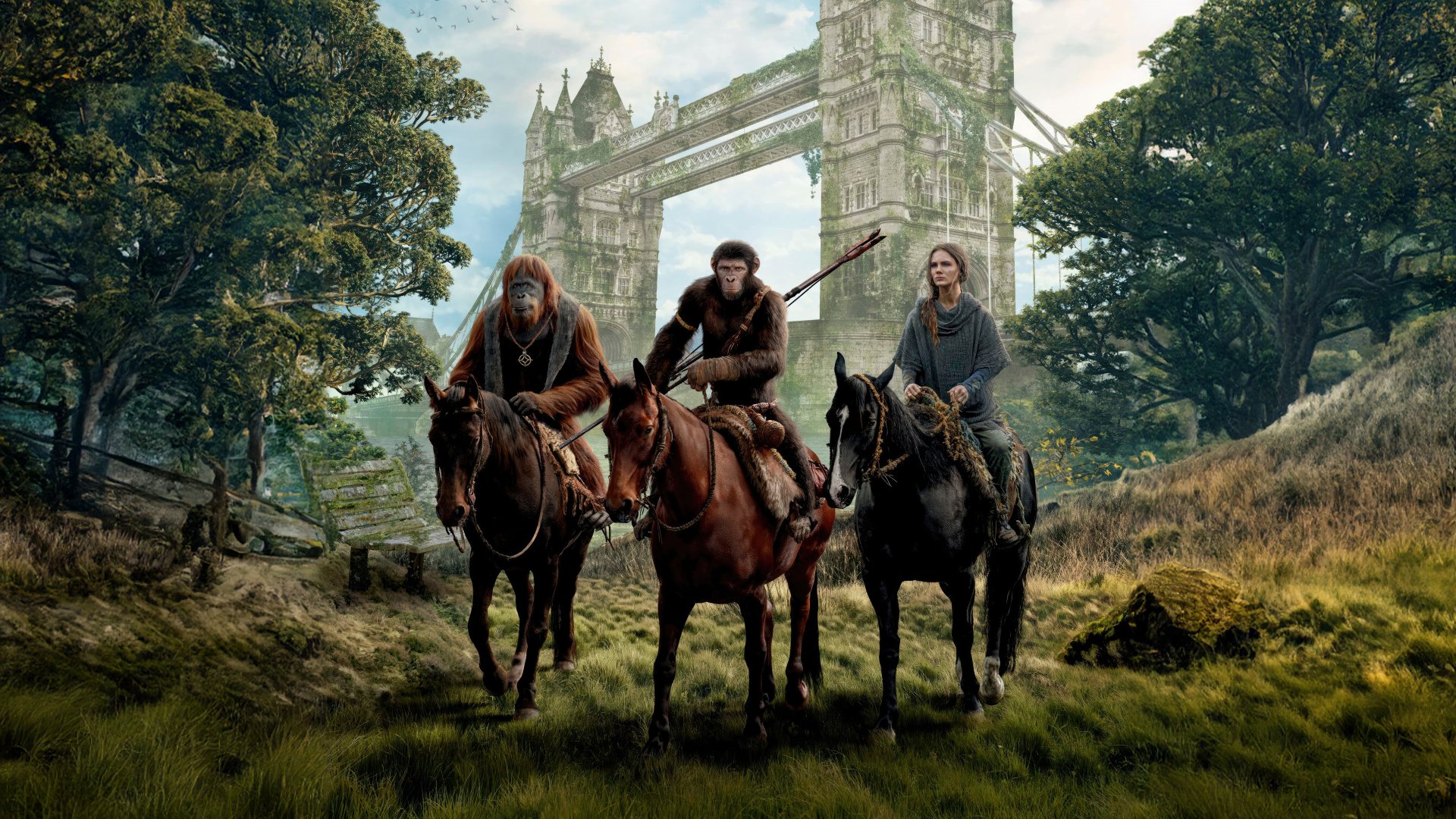 Download Kingdom Of The Planet Of The Apes 4k Ultra HD Wallpaper