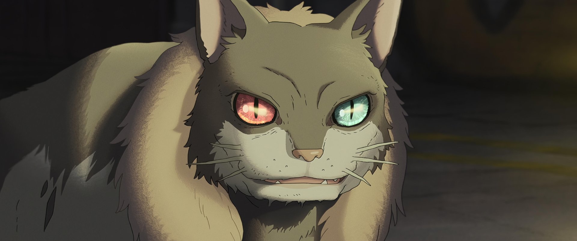 A close-up of a cat with strikingly colored eyes from the anime *The Imaginary* (2023) by Studio Ponoc, featured as an HD desktop wallpaper and background.