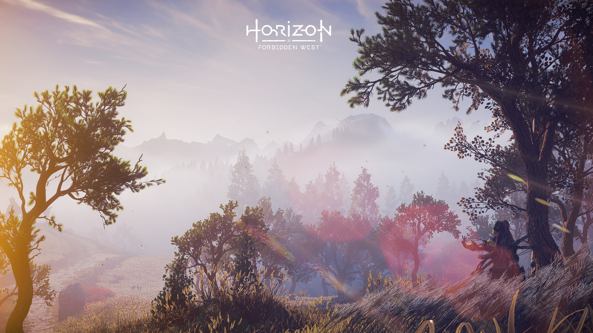 HD PC desktop wallpaper from the video game Horizon Forbidden West, featuring a misty forest landscape with the game's logo at the top center.