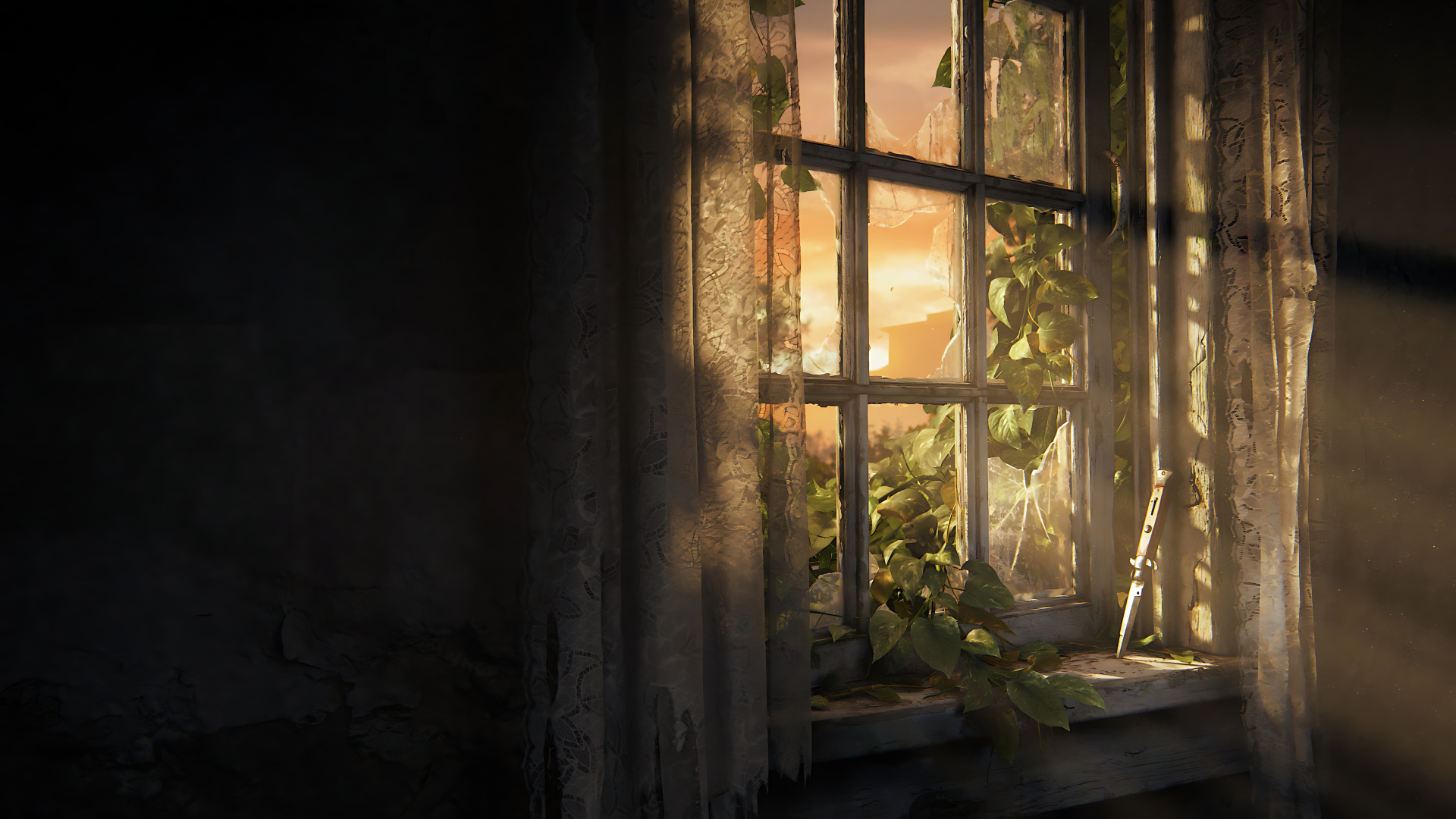 A sunlit, overgrown window scene from The Last Of Us, captured in stunning detail as an 8K Ultra HD PC desktop wallpaper and background.