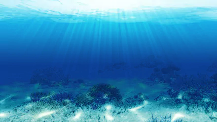 Endless Ocean HD Desktop Wallpaper | Background Image