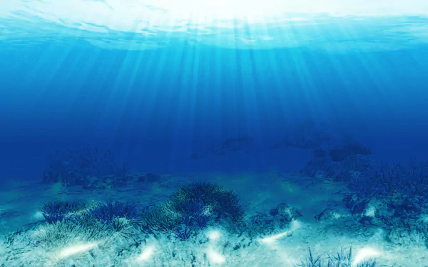 Endless Ocean HD Desktop Wallpaper | Background Image