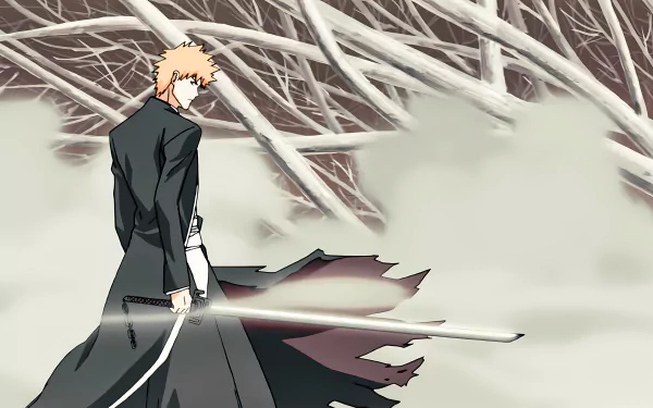  Bleach | Ban-kai