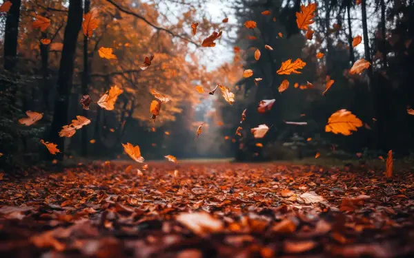 A serene fall scene with vibrant orange leaves swirling through the air, covering a pathway in a forest, showcasing the beauty of autumn. 4K Ultra HD wallpaper and background.