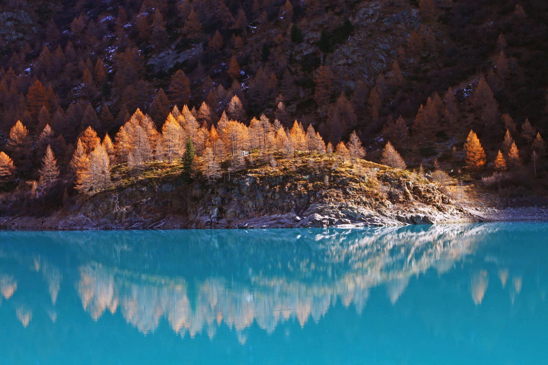 A serene lake reflects vibrant autumn trees and a forested hill, capturing the beauty of nature in a stunning 4K Ultra HD landscape wallpaper.