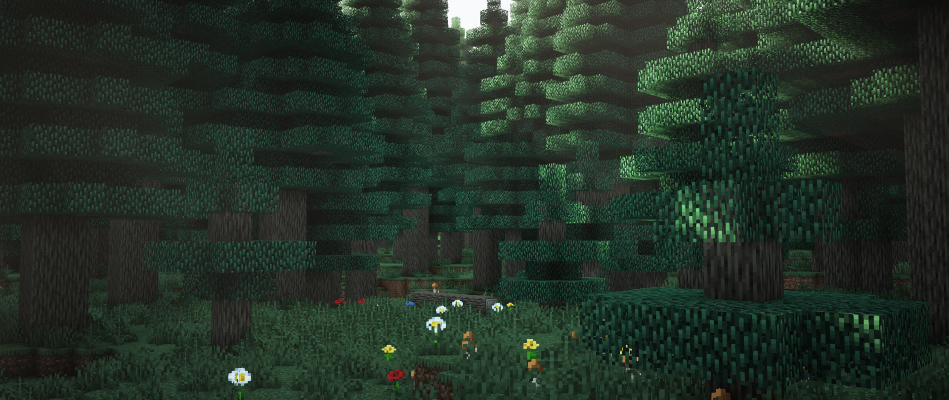 HD Minecraft desktop wallpaper showcasing a daytime forest scene with vibrant nature rendered using shaders.