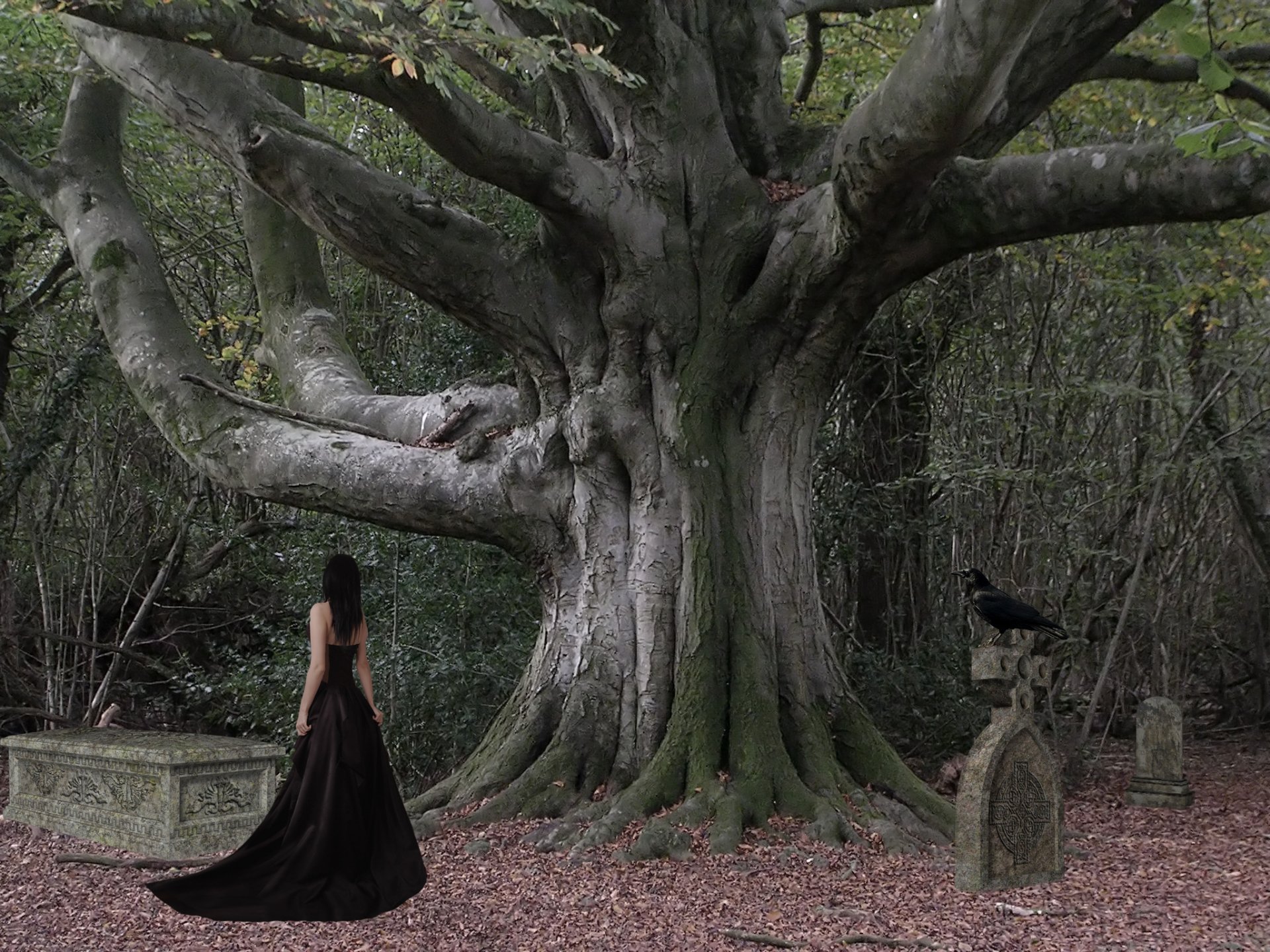A dark, gothic scene featuring a mysterious figure in a flowing black gown standing before a massive twisted tree, with a raven perched on a gravestone, creating an atmospheric HD wallpaper.