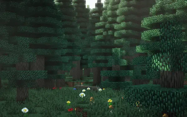 HD Minecraft desktop wallpaper showcasing a daytime forest scene with vibrant nature rendered using shaders.