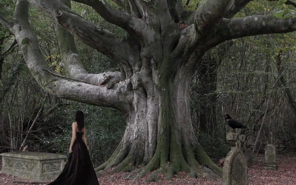A dark, gothic scene featuring a mysterious figure in a flowing black gown standing before a massive twisted tree, with a raven perched on a gravestone, creating an atmospheric HD wallpaper.