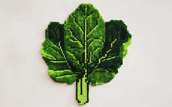 Artistic 4K Ultra HD desktop wallpaper featuring a vibrant green spinach leaf with detailed veins and texture.