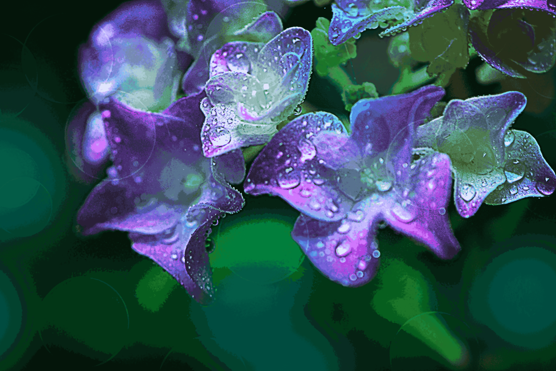 Download Flower Macro 4k Ultra HD Wallpaper