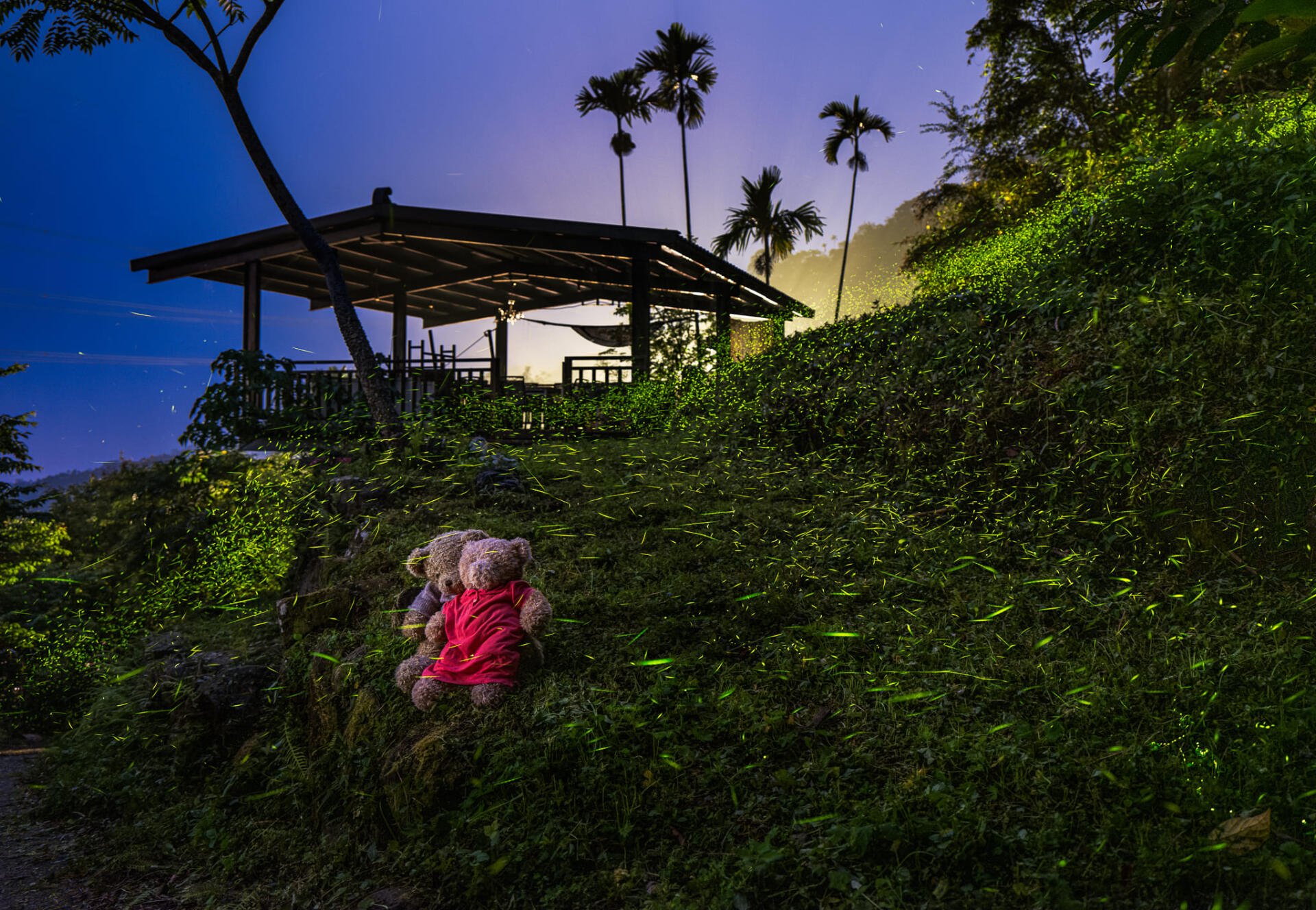 Download Garden Man Made HD Wallpaper