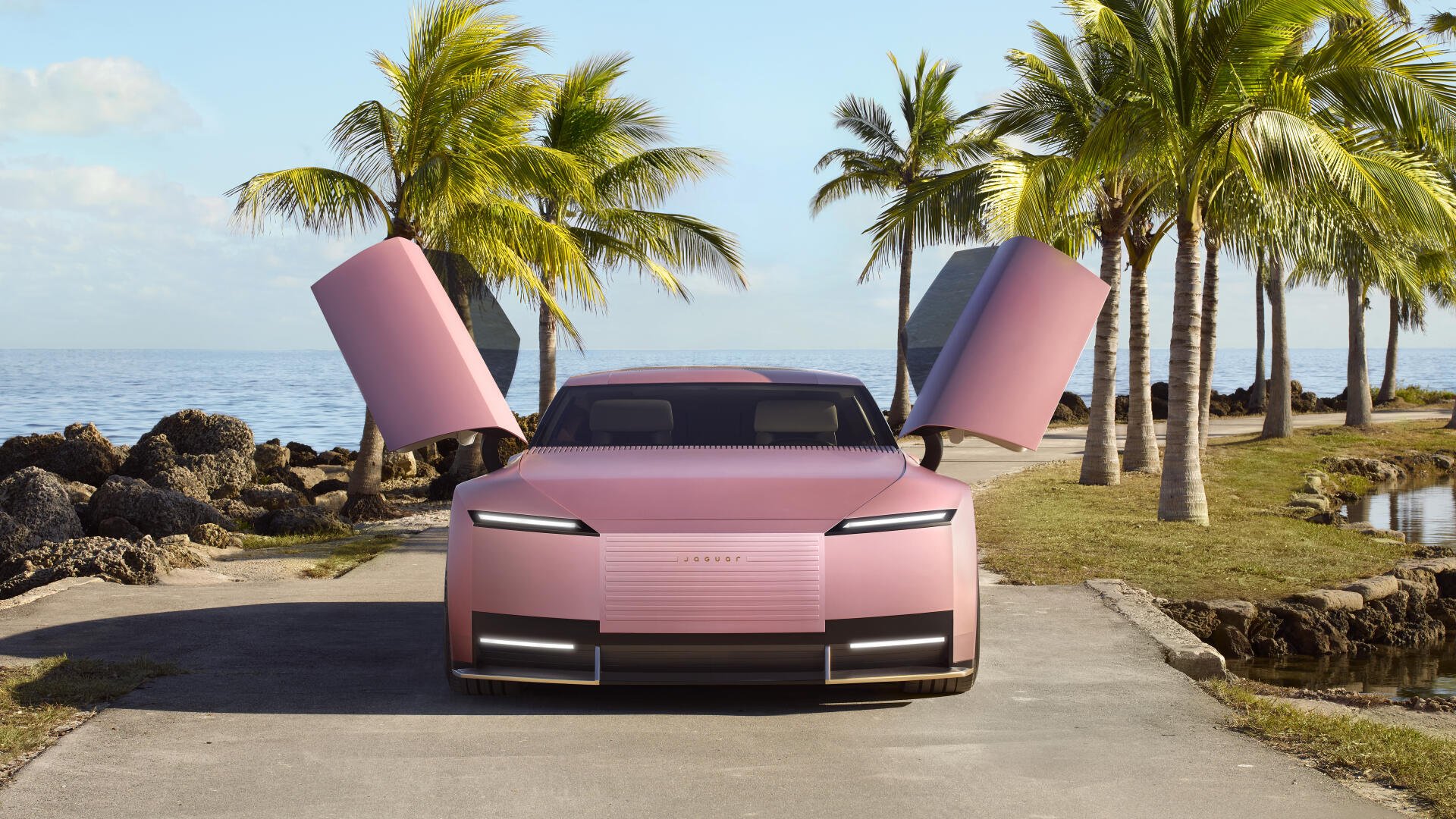 A pink Jaguar Type 00 sports car with butterfly doors open, parked on a palm-lined coastal road, captured in 8K Ultra HD as a PC desktop wallpaper.