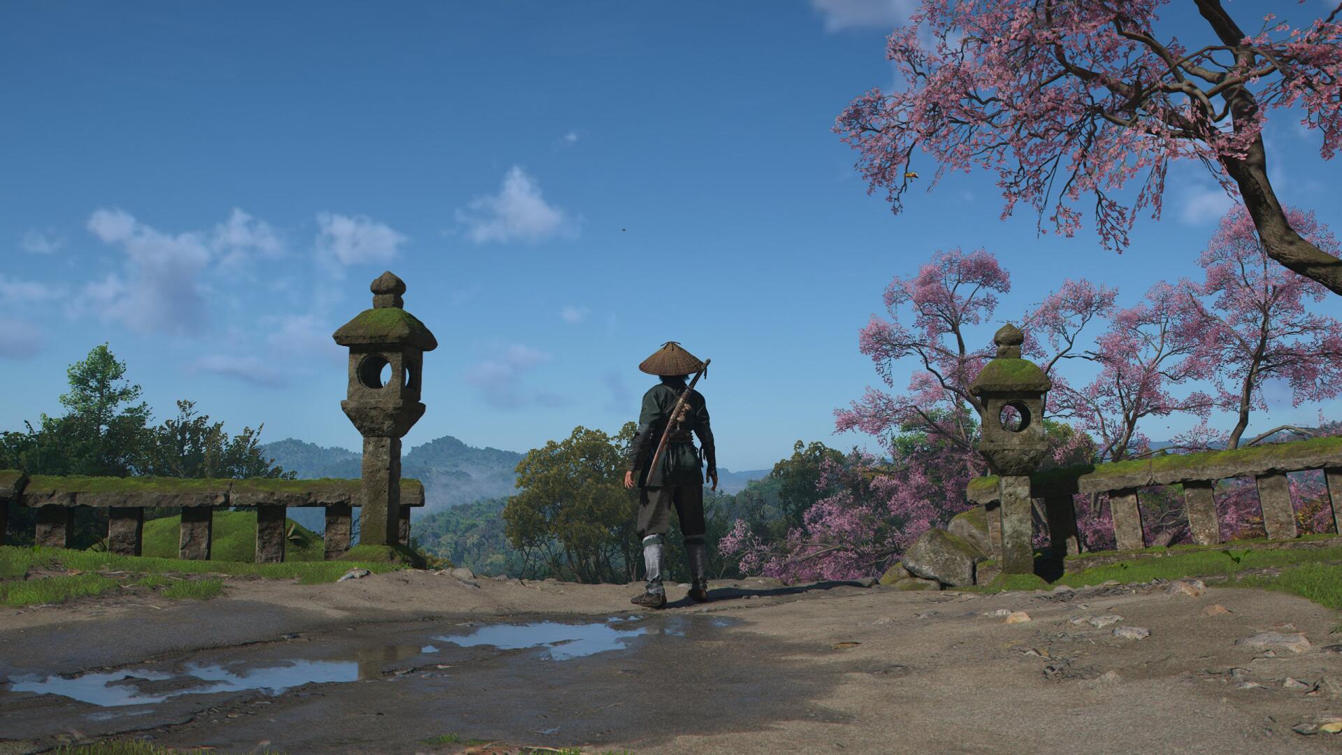 HD PC desktop wallpaper featuring a character from the video game Assassin's Creed Shadows standing on a path with stone lanterns and blooming cherry blossoms.