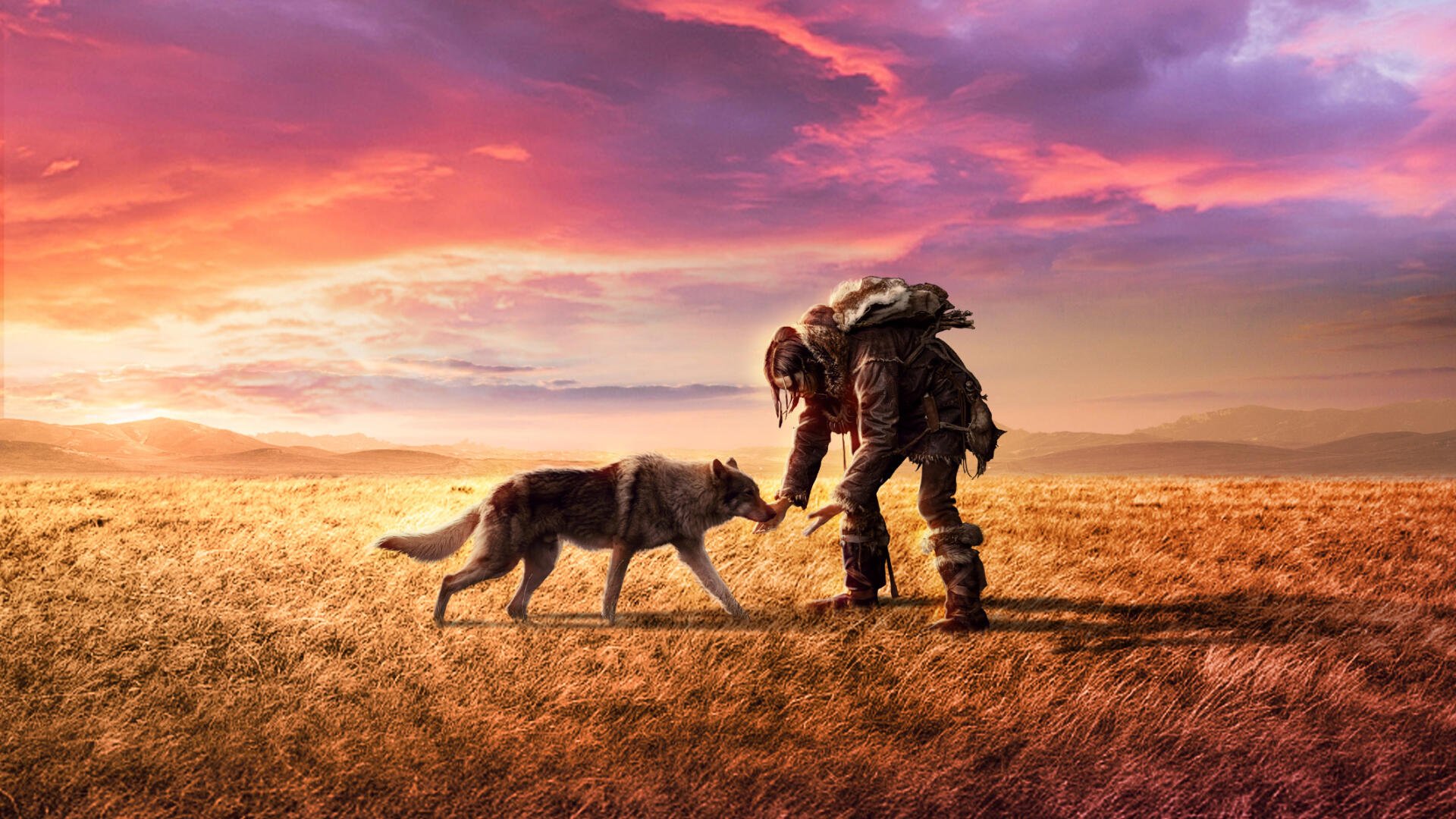 HD PC desktop wallpaper of Alpha (Movie): a lone prehistoric hunter kneeling to touch a wolf on a windswept golden plain under a vivid sunset sky.