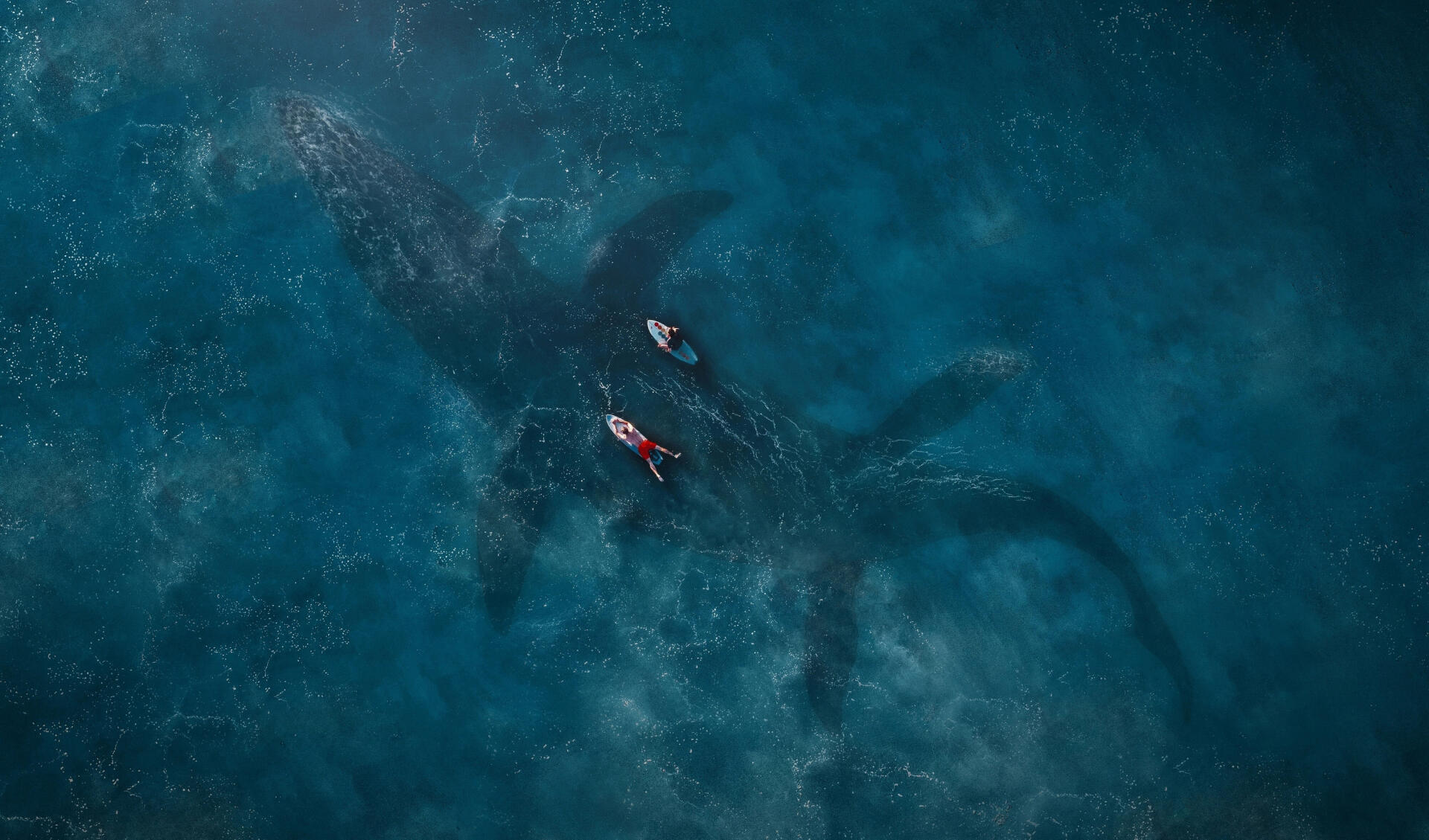 HD PC desktop wallpaper from Jurassic World: Fallen Kingdom — aerial view of two kayakers paddling over the shadow of a colossal sea dinosaur in turquoise water.