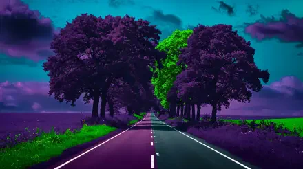 A vibrant country road lined with lush trees under a dramatic sky, captured in stunning 4K Ultra HD, creating a captivating scenic backdrop for your desktop.