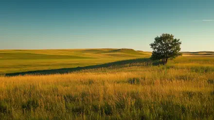 North America landscape grassland HD Desktop Wallpaper | Background Image