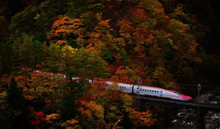 A sleek train speeds through a vibrant autumn landscape with colorful trees, captured in stunning 4K Ultra HD for a vivid PC desktop wallpaper.