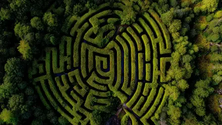 Aerial view of a lush green tree labyrinth surrounded by dense forest, captured in HD for a vibrant nature-themed PC desktop wallpaper.