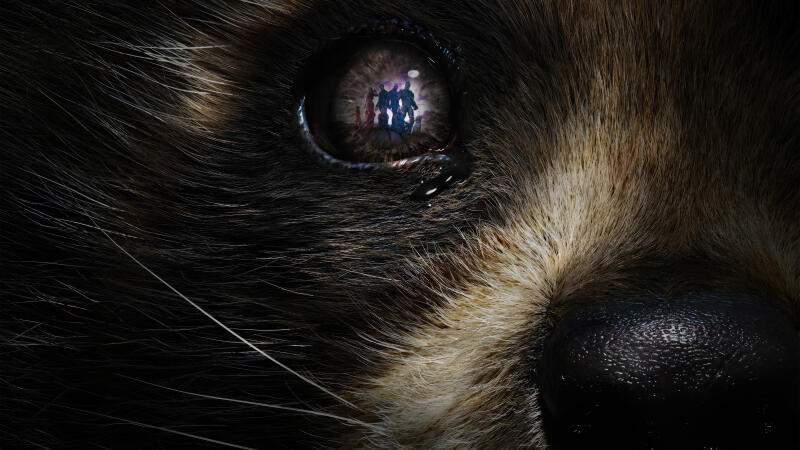 {{ Guardians of the Galaxy Vol. 3 4K Ultra HD PC desktop wallpaper — extreme close-up of Rocket’s fur and eye reflecting the Guardians' silhouettes.