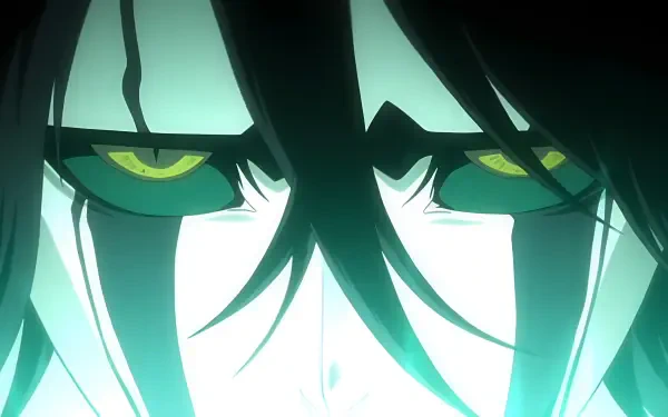  Ulquiorra Cifer 2nd form