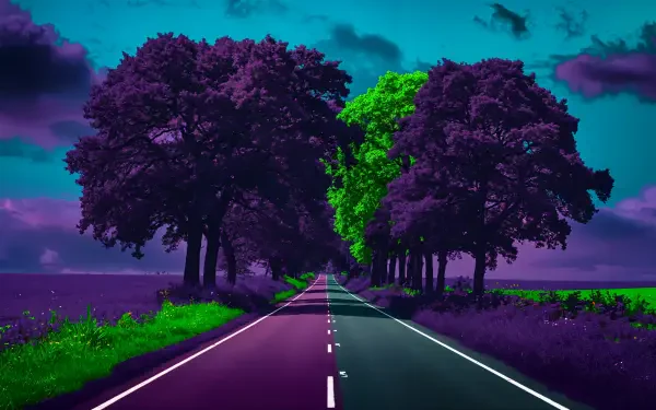 A vibrant country road lined with lush trees under a dramatic sky, captured in stunning 4K Ultra HD, creating a captivating scenic backdrop for your desktop.