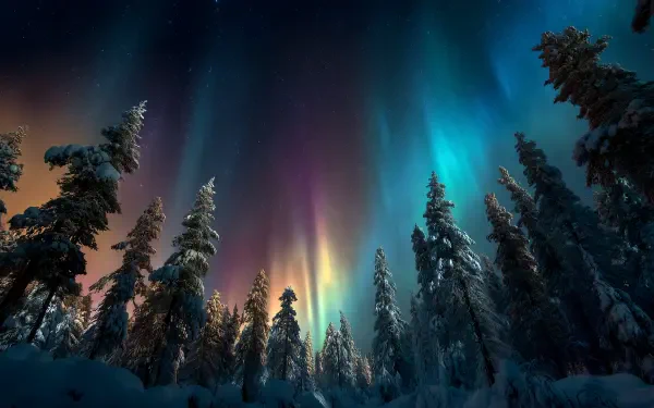 HD desktop wallpaper of a snowy forest landscape under vibrant Northern Lights illuminating the night sky.