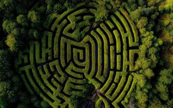 Aerial view of a lush green tree labyrinth surrounded by dense forest, captured in HD for a vibrant nature-themed PC desktop wallpaper.