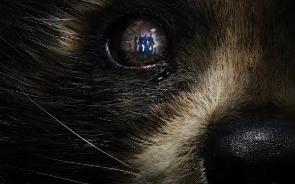 Guardians of the Galaxy Vol. 3 4K Ultra HD PC desktop wallpaper — extreme close-up of Rocket’s fur and eye reflecting the Guardians' silhouettes.