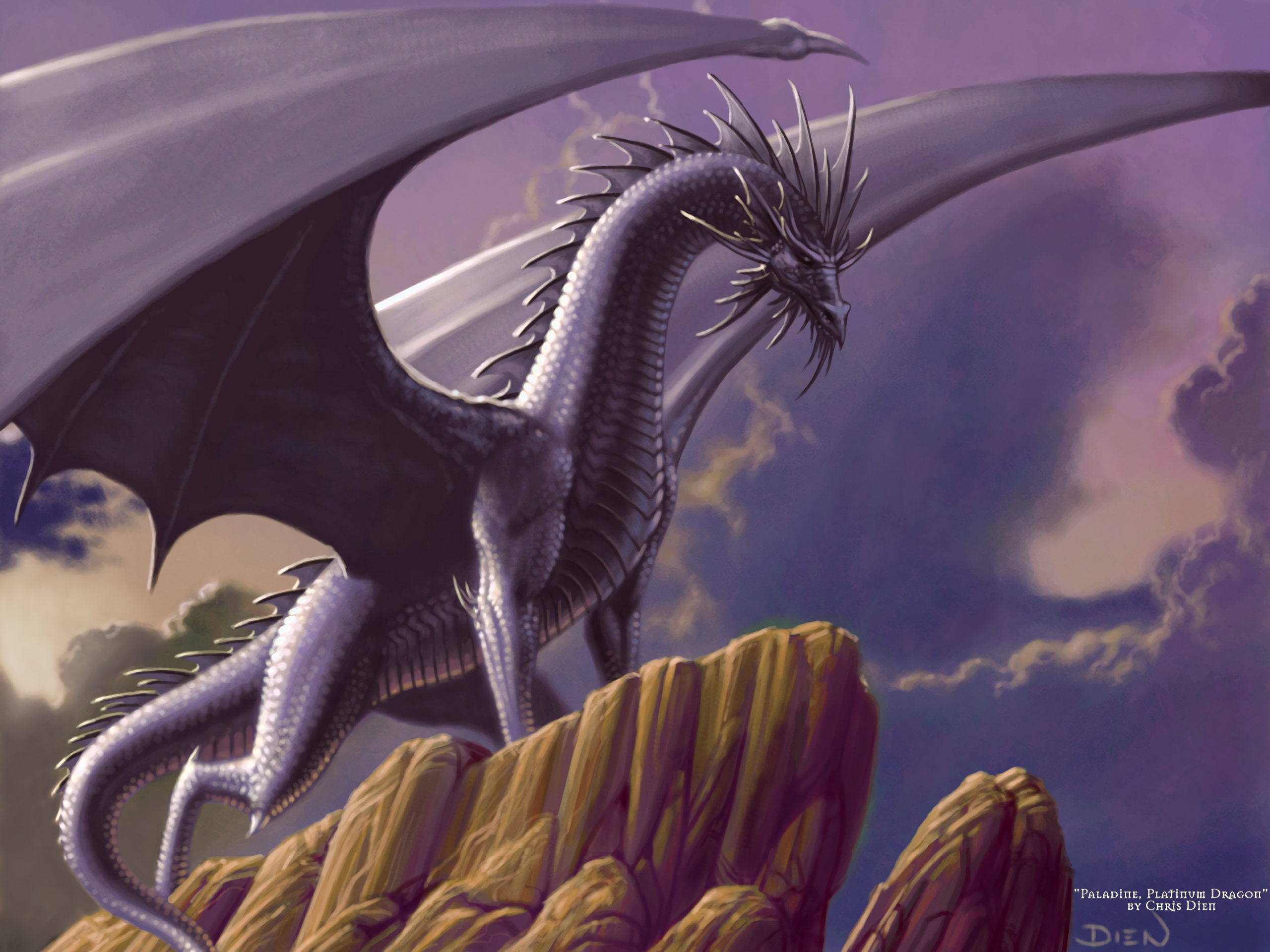 Fantasy Dragon HD Wallpaper by Chris Dien