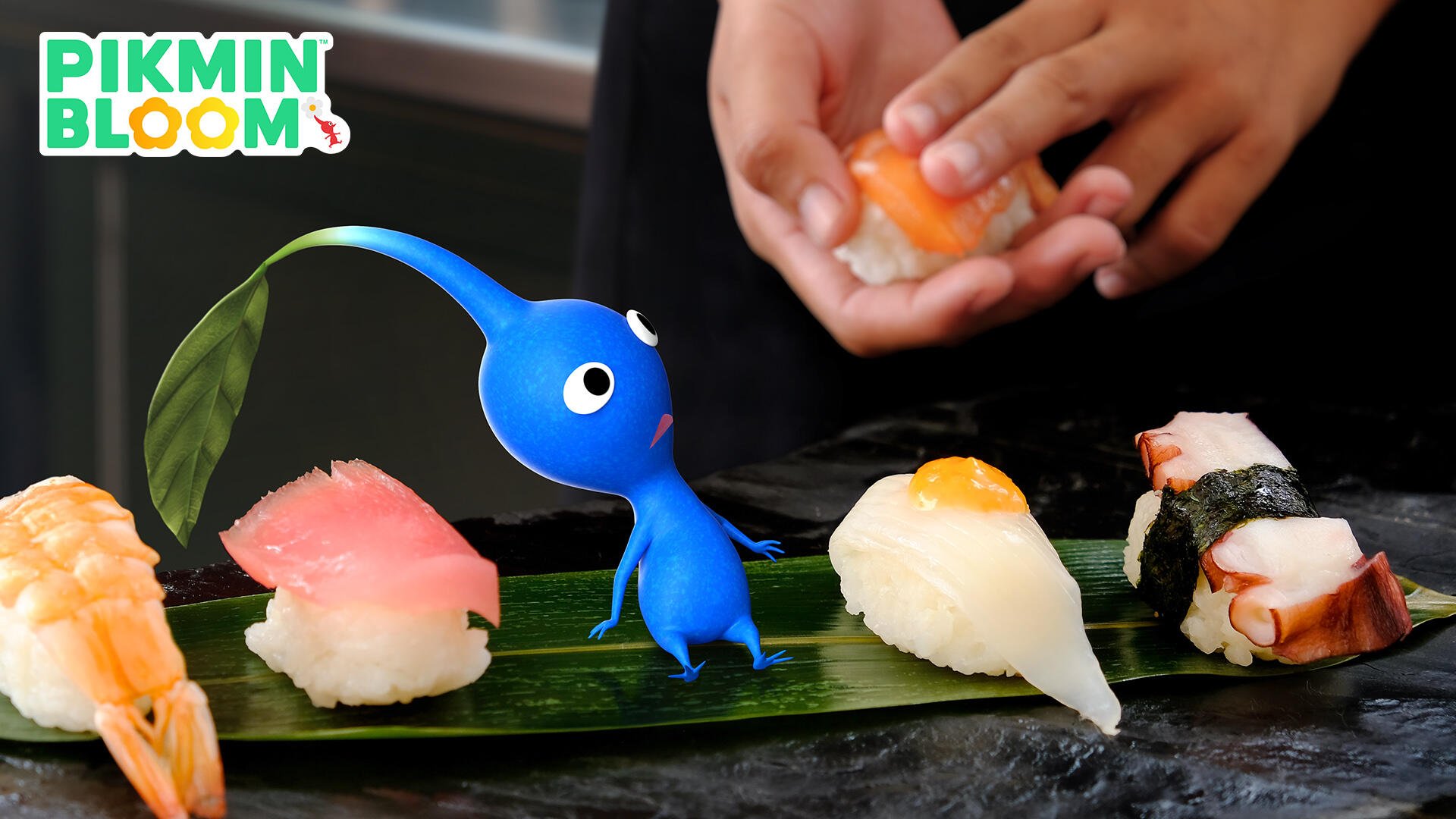 Blue Pikmin inspects sushi on a leaf as a chef's hands prepare bites — HD PC desktop wallpaper background, Pikmin.