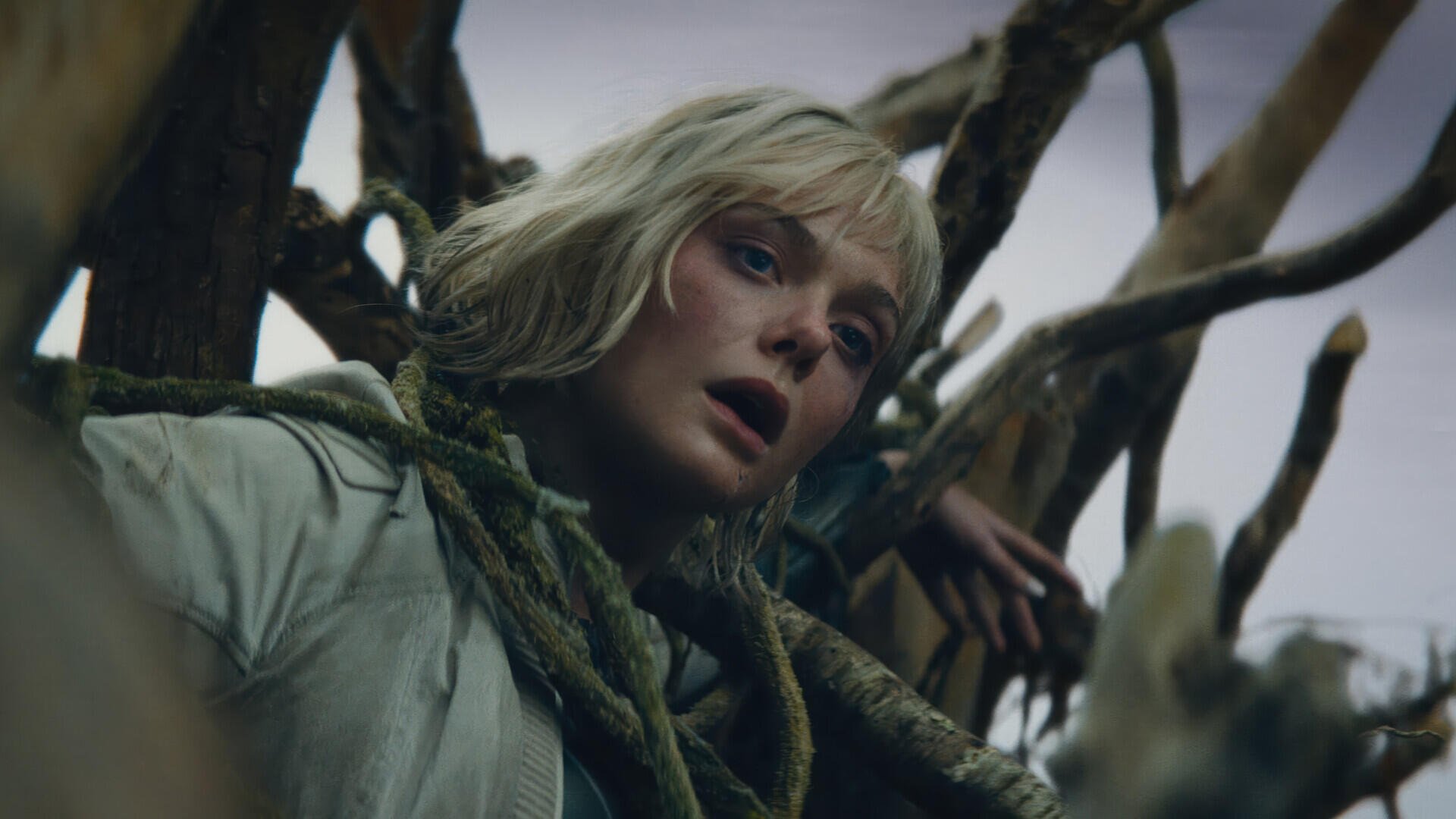 HD PC desktop wallpaper: the lead actress from the movie Predator: Badlands — pale-haired woman tangled in gnarled roots, gazing upward amid moody, dramatic lighting.