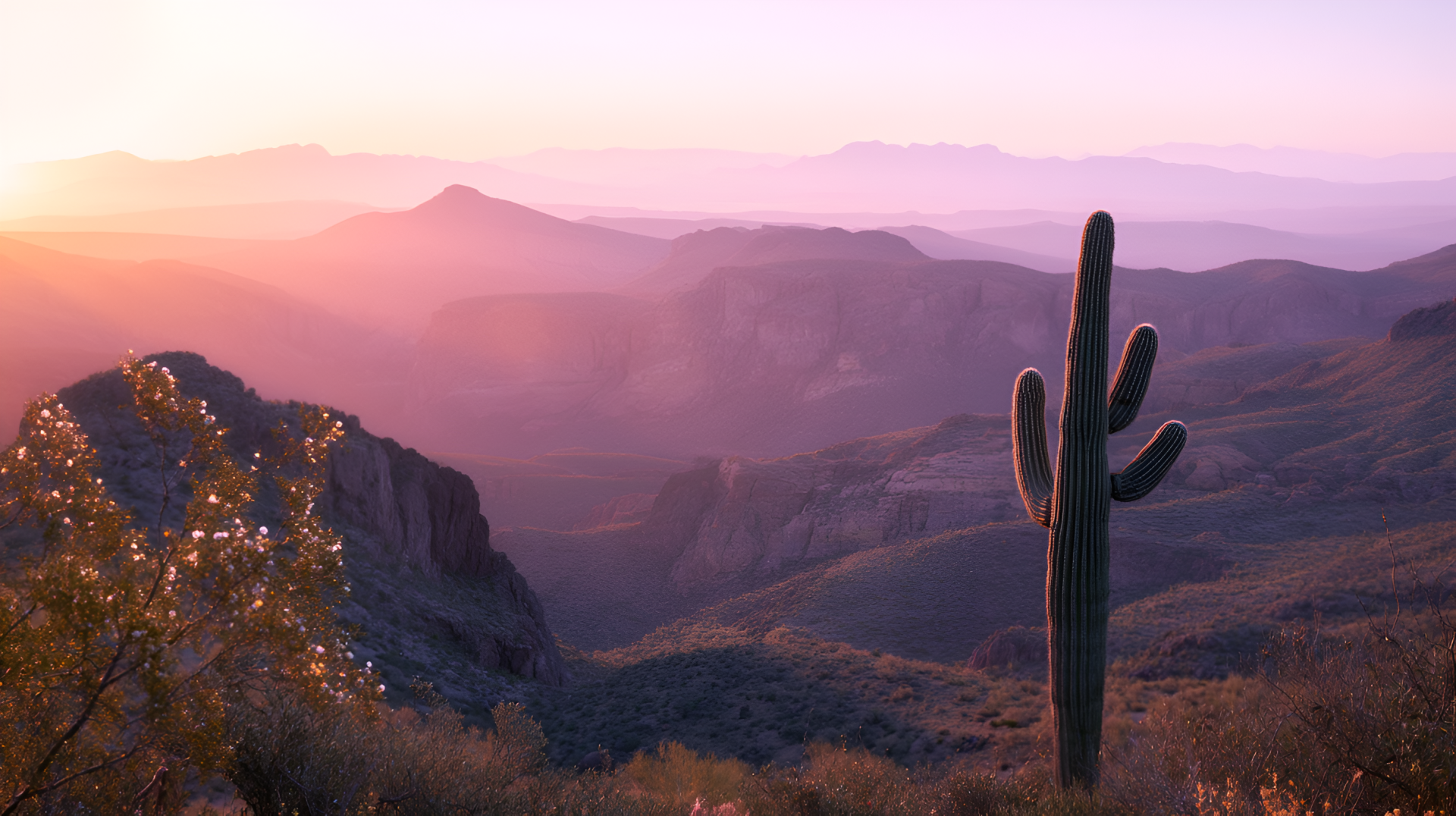 2K Quad HD PC desktop wallpaper: panoramic canyon and mountain ranges at sunrise with a tall cactus silhouette in the foreground.