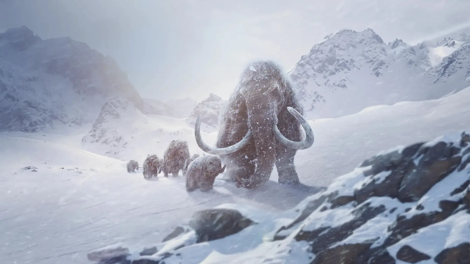 Prehistoric Planet 4K Ultra HD PC desktop wallpaper — woolly mammoth herd trudging across a snowy mountain pass under a pale sky, blowing snow and jagged icy rocks.