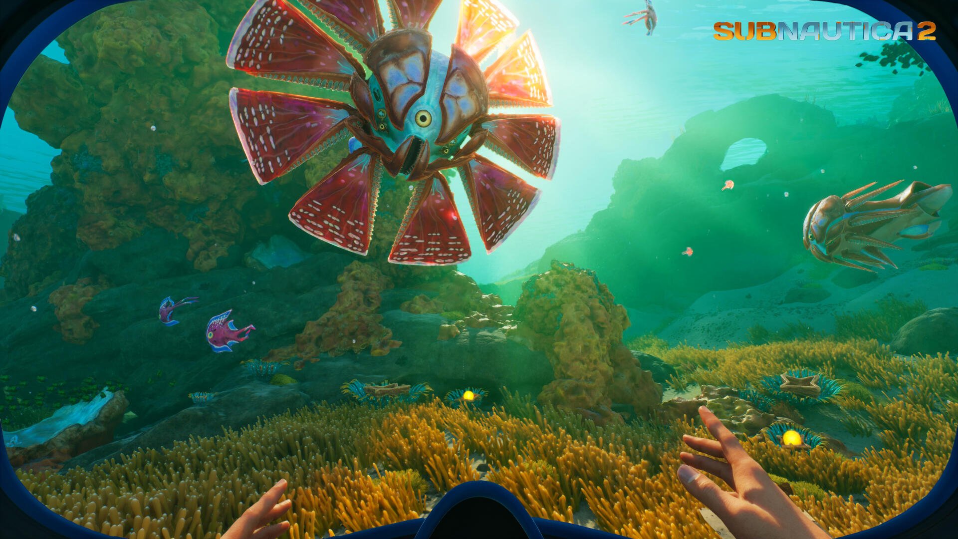 Video game Subnautica 2 4K Ultra HD PC desktop wallpaper and background: first-person underwater scene with outstretched hands, colorful coral and a large fan-like bioluminescent creature approaching.